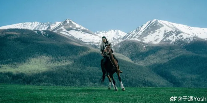 从荷兰包机,回国,匹赛马入境,香港赛马会官网,赛程安排,赛果查询,马匹资料,赛事资讯
