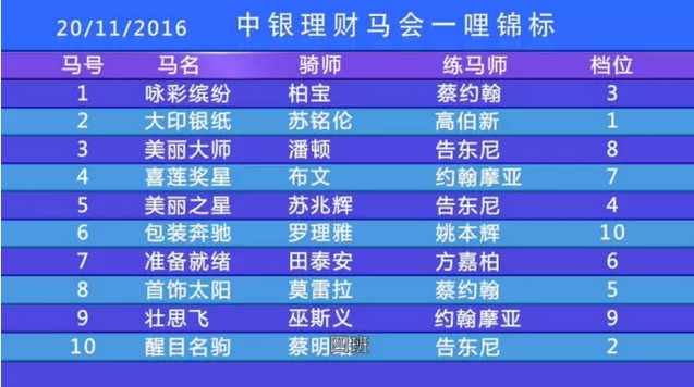 嘉应高升,遨游气泡,携手登顶,香港赛马会官网,赛程安排,赛果查询,马匹资料,赛事资讯