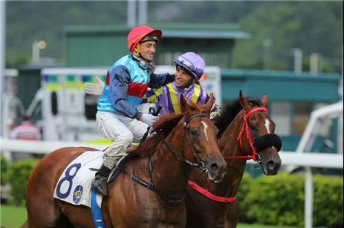 大乐透期号,专家推荐,陈家梁再探,香港赛马会官网,赛程安排,赛果查询,马匹资料,赛事资讯