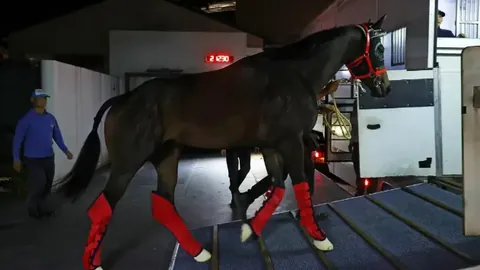 马会回应：莫雷拉回归引争议，骑师公平问题待解