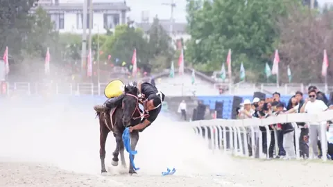 郎林大乐透期号专家质合分析推荐前区十码