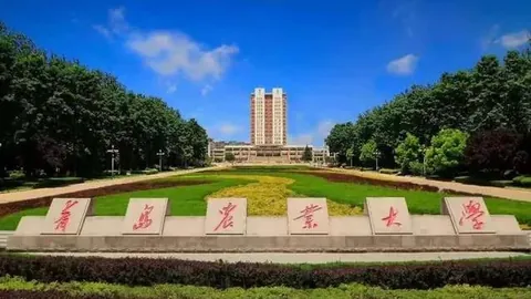 山西玉龙本月下旬马术赛事来袭，裁判员名单公布